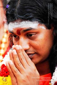 2010 PhotoAbum more 5876 CMP WM.jpg