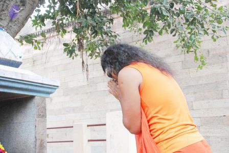 2010 PhotoAbum more 5959 CMP WM.jpg