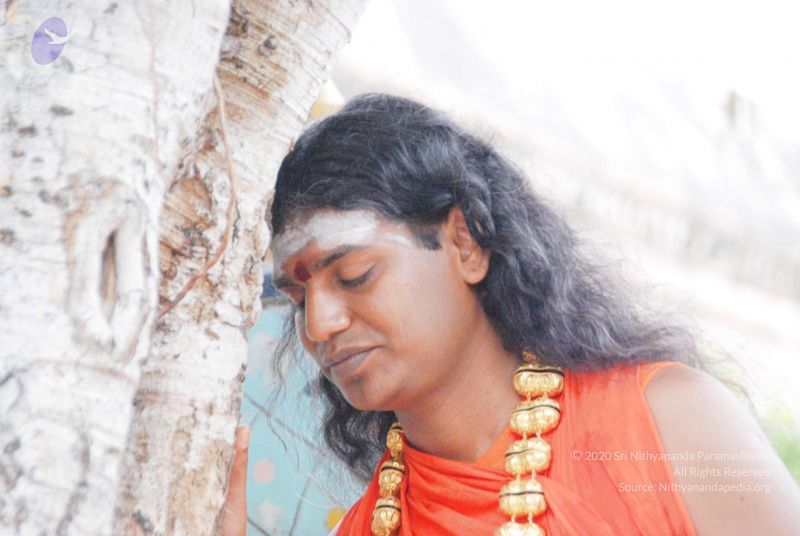 File:2010 PhotoAbum more 5963 CMP WM.jpg