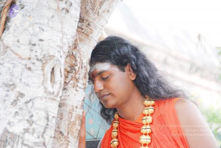 2010 PhotoAbum more 5964 CMP WM.jpg