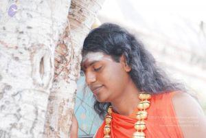 2010 PhotoAbum more 5965 CMP WM.jpg