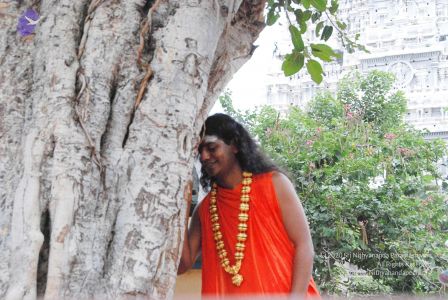 2010 PhotoAbum more 5966 CMP WM.jpg