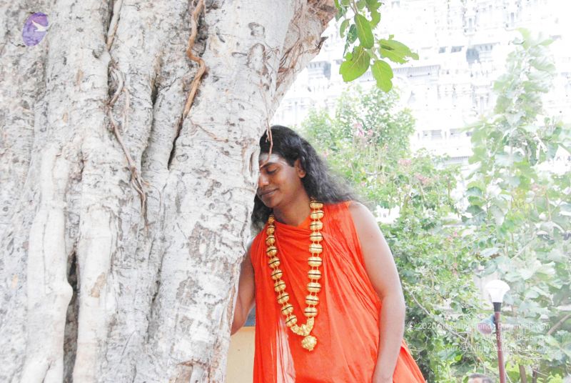 File:2010 PhotoAbum more 5968 CMP WM.jpg