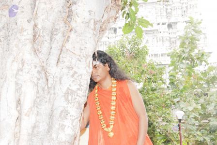 2010 PhotoAbum more 5969 CMP WM.jpg