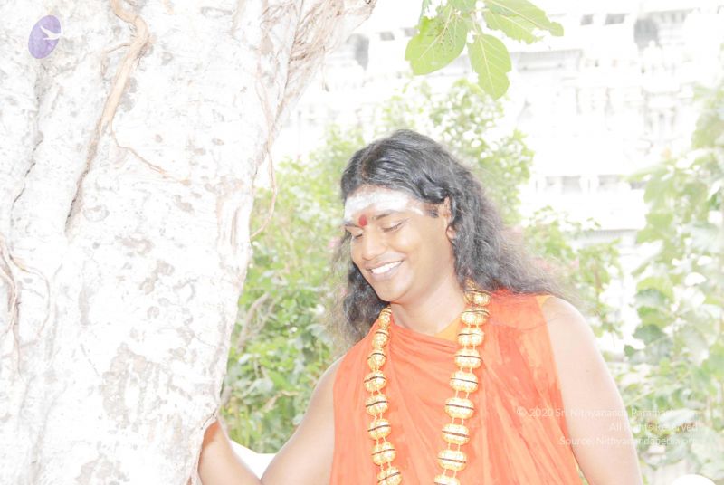 File:2010 PhotoAbum more 5970 CMP WM.jpg