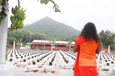 2010 PhotoAbum more 6786 CMP WM.jpg