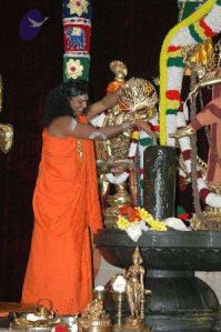 2010 PhotoAlbum Photo 1109 1BJN35gGWFetFBjFy5PzdTMh gXTS2pmg.jpg