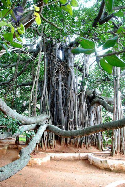 File:2010 PhotoAlbum Photo 216 1LtMy4narH85dG349961wEs4E57g0b7az.jpg