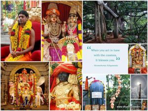 2010 PhotoAlbum Photo 528 1uxP0ICayRhC97K7qwMWXBHCzapFdpnh0.jpg