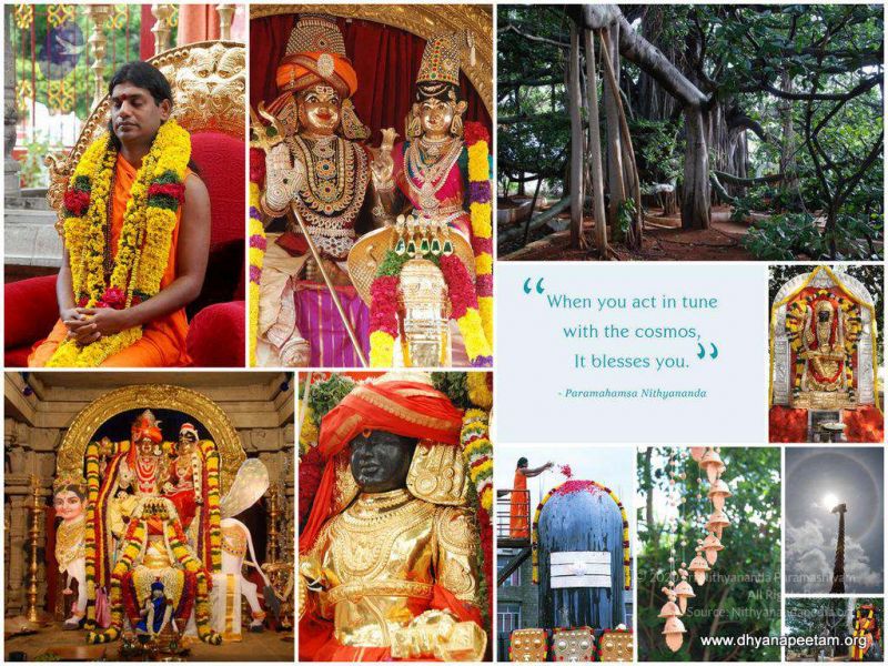 File:2010 PhotoAlbum Photo 528 1uxP0ICayRhC97K7qwMWXBHCzapFdpnh0.jpg