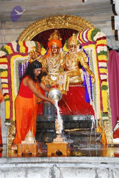 File:2010 PhotoAlbum Photo 773 13CwrII5Yvaz2ybfOAvpoaVNhMd6x5GRv.jpg