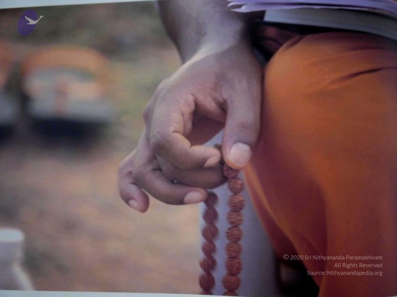 File:2010 PhotoAlbum Photo 971 121YQ333UVUVQPA7XP0cmnyKra1AsiVZ8.jpg