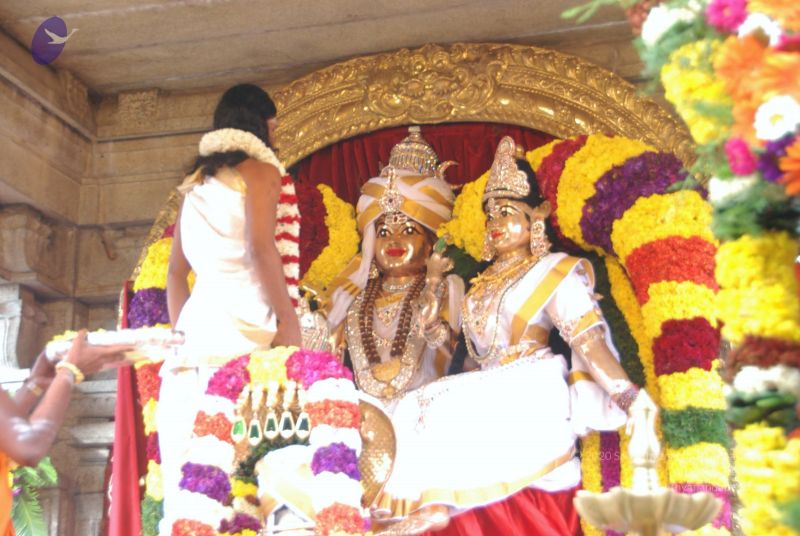 File:20110101 Photo 1040 12QV3pz9nMwQMaeAayD1phLJAOEvUk2bk.JPG