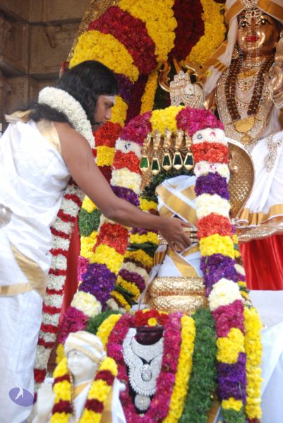 File:20110101 Photo 1053 1m5iz9xCzUcC1oqK0UhcPjEPVdHt6fiqX.JPG