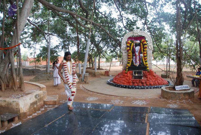 20110101 Photo 1090 1SU3YSU0w0CiMa43POpg8PnWde1SH9Kx9.JPG