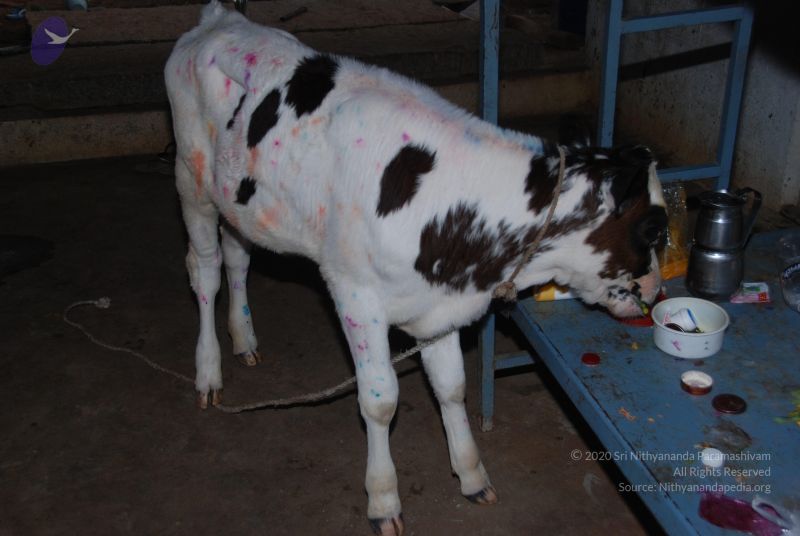 File:20110101 Photo 1441 1DPhndca2RiKRF-D-OVXwRqlgo-XQEYK9.JPG