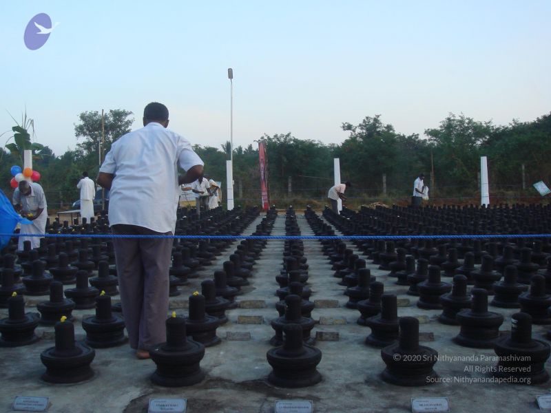 File:20110115 Photo 1017 1f6flIZy4Znbrm-RZEojDarASRt8bCXRl.JPG