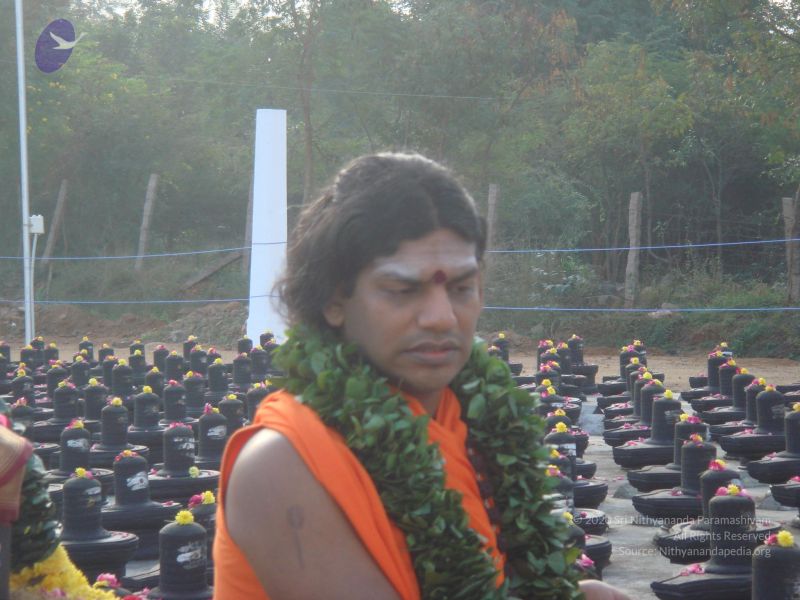 File:20110115 Photo 1119 1gOuJzzSRFggbBS7pYuHzDBWX9Zc--i4D.JPG