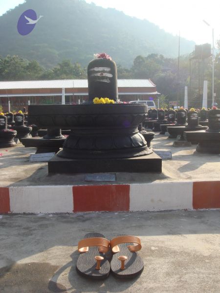 File:20110115 Photo 1168 1FRJ4uhsAN4QzCsHCkkWmAbf wcqx0bIZ.JPG