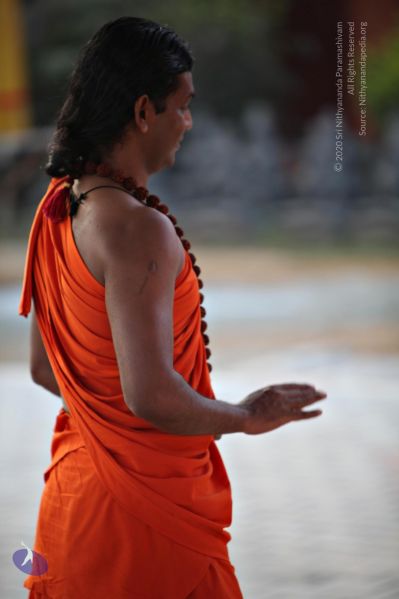 File:20110205 4639 CMP WM watermark.jpg