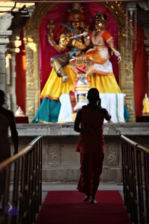 20110205 4654 CMP WM watermark.jpg