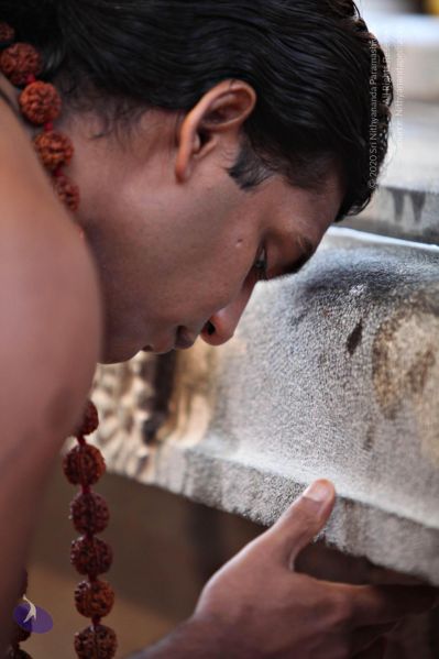 File:20110205 4657 CMP WM watermark.jpg