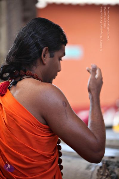 File:20110205 4658 CMP WM watermark.jpg