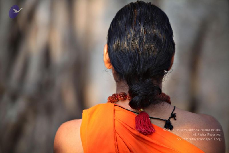 File:20110205 4689 CMP WM watermark.jpg