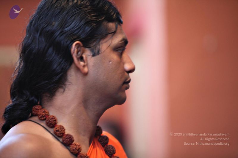 File:20110205 4704 CMP WM watermark.jpg