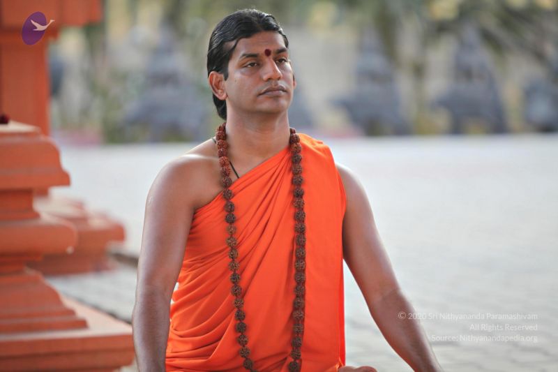 File:20110205 4710 CMP WM watermark.jpg