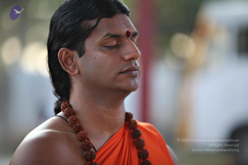 File:20110205 4732 CMP WM watermark.jpg