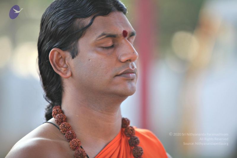 File:20110205 4734 CMP WM watermark.jpg