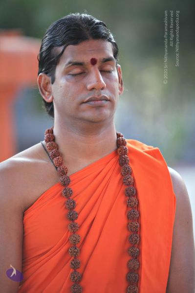 File:20110205 4780 CMP WM watermark.jpg