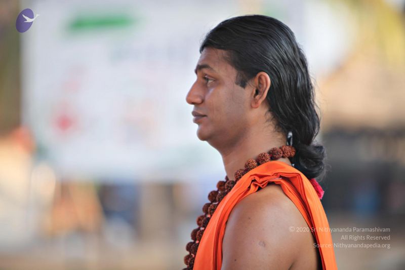 File:20110205 4825 CMP WM watermark.jpg