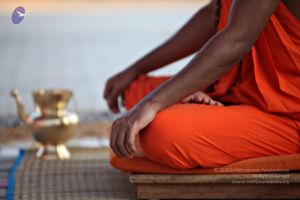 20110205 4831 CMP WM watermark.jpg