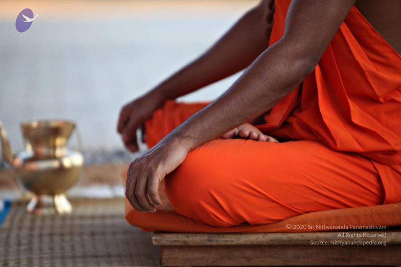 File:20110205 4832 CMP WM watermark.jpg