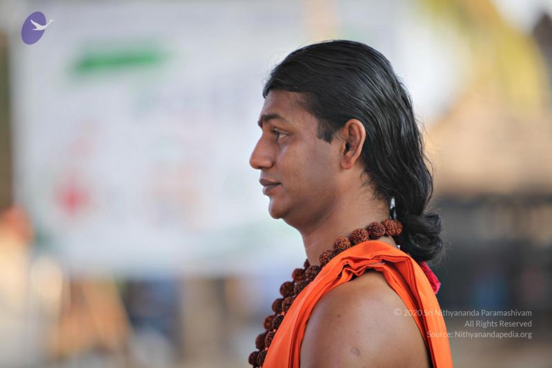 File:20110205 4834 CMP WM watermark.jpg