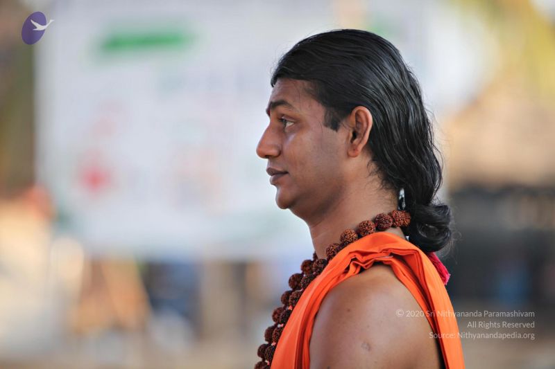 File:20110205 4840 CMP WM watermark.jpg