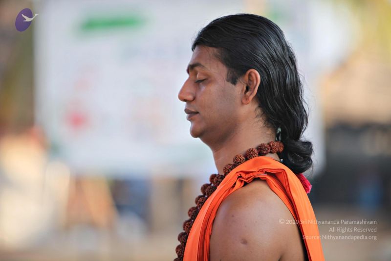 File:20110205 4844 CMP WM watermark.jpg