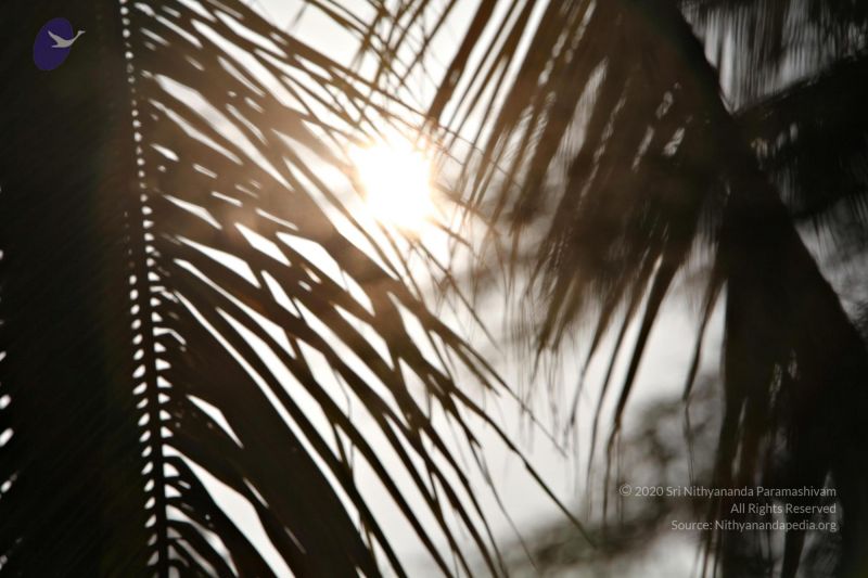 File:20110205 4847 CMP WM watermark.jpg