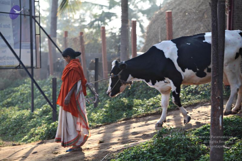 File:20110205 4852 CMP WM watermark.jpg