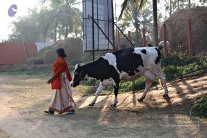 20110205 4855 CMP WM watermark.jpg