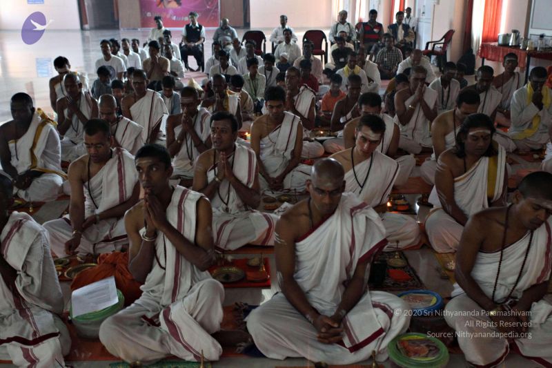 File:20110205 4904 CMP WM watermark.jpg