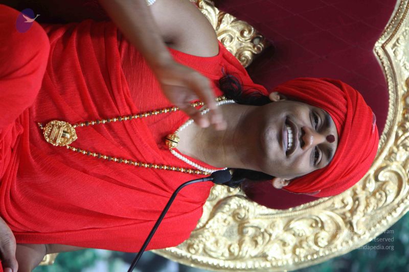 File:20110223IMG 0565 CMP WM 001.jpg