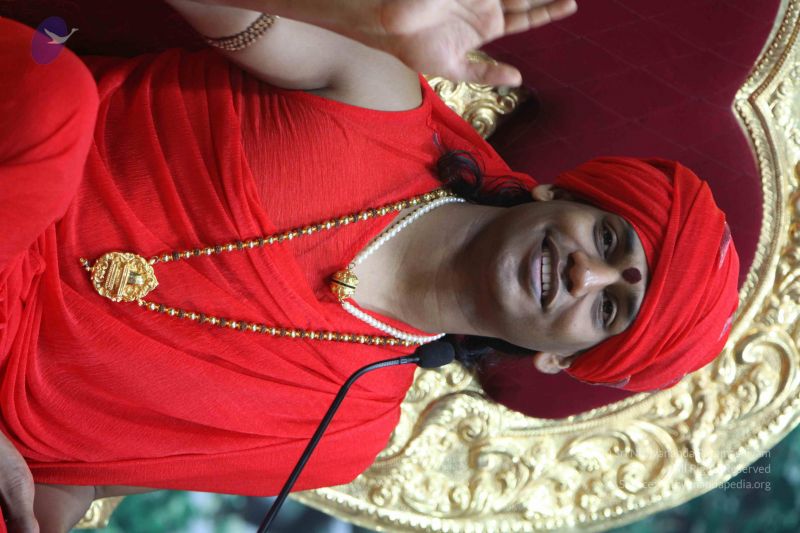 File:20110223IMG 0566 CMP WM 001.jpg