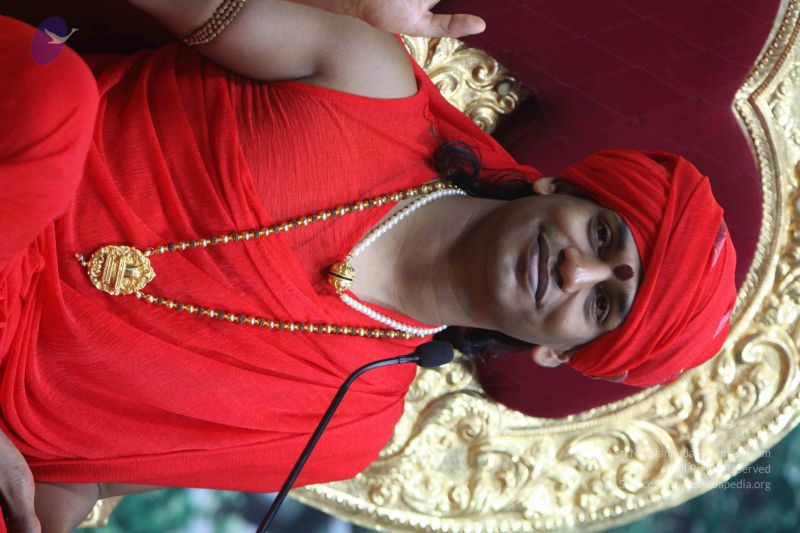 File:20110223IMG 0567 CMP WM 001.jpg