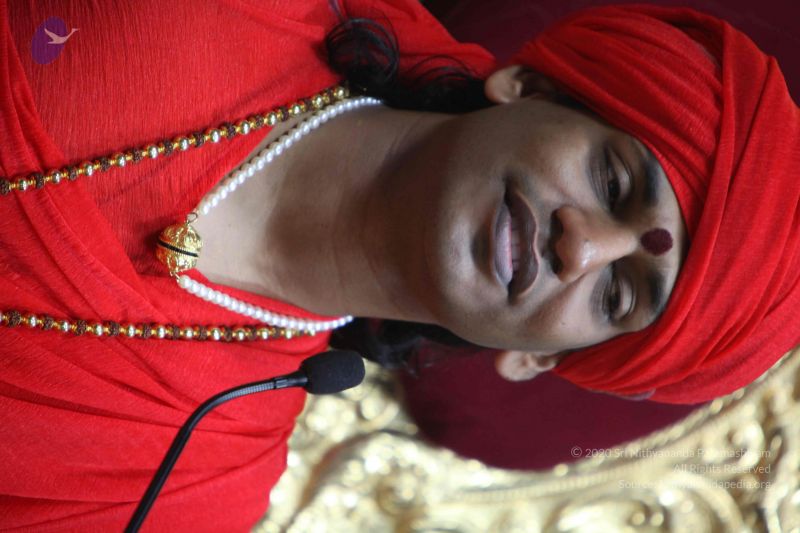 File:20110223IMG 0570 CMP WM 001.jpg