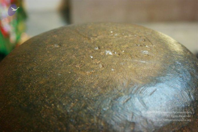 20110227 Photo 1007 1Wt8uVWC-G4VrZTKkuIZyx-XwuNG9TSlQ.JPG