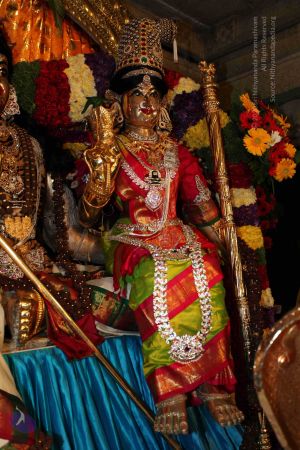 20110303 IMG 0021 CMP WM 0100.jpg