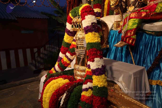 20110303 IMG 0043 CMP WM 0100.jpg